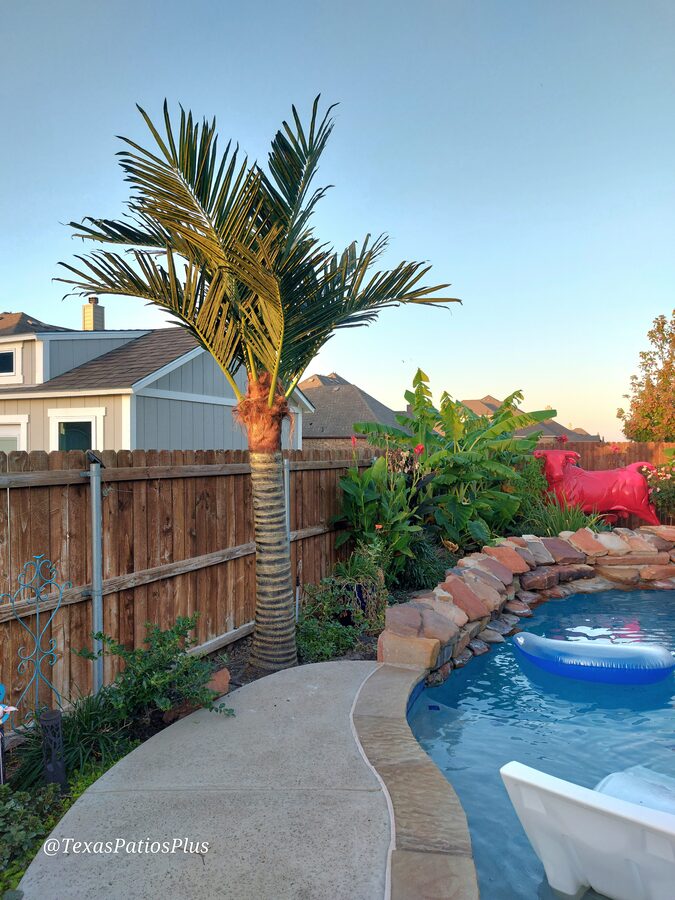 Faux Palms by Texas Patios Plus