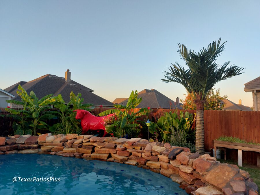 Faux Palms by Texas Patios Plus