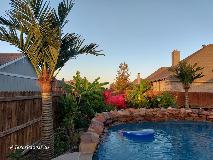 Faux Palms by Texas Patios Plus