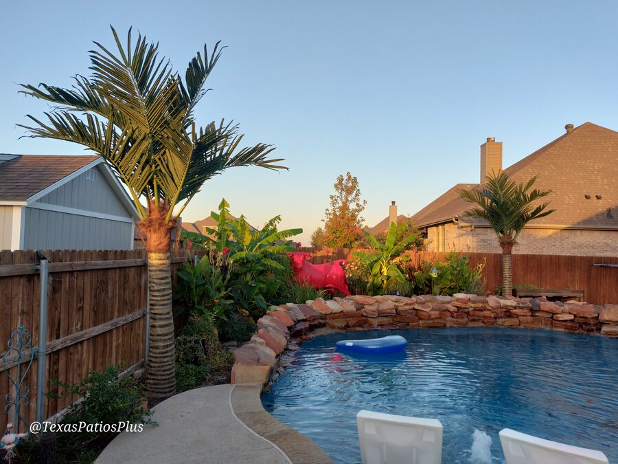 Faux Palms by Texas Patios Plus