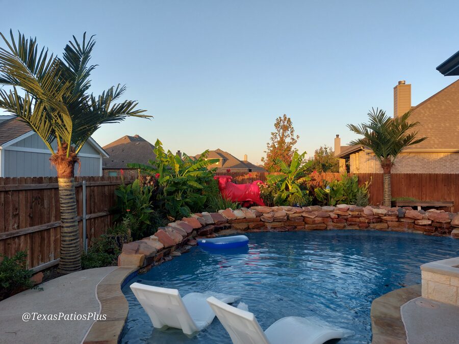 Faux Palms by Texas Patios Plus