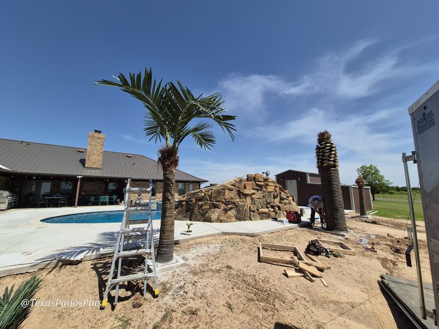 Faux Palms by Texas Patios Plus
