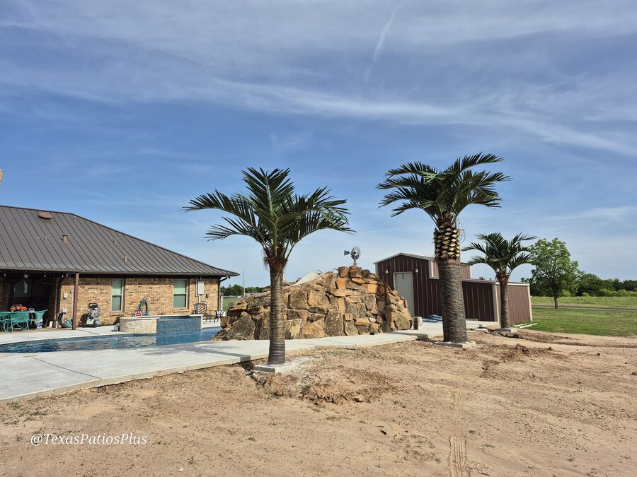Faux Palms by Texas Patios Plus