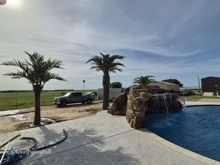 Faux Palms by Texas Patios Plus