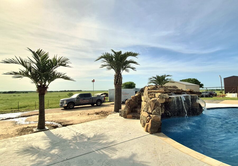 Faux Palms by Texas Patios Plus