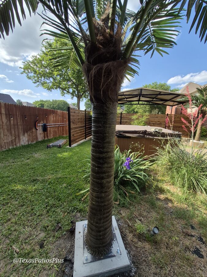 Faux Palms by Texas Patios Plus