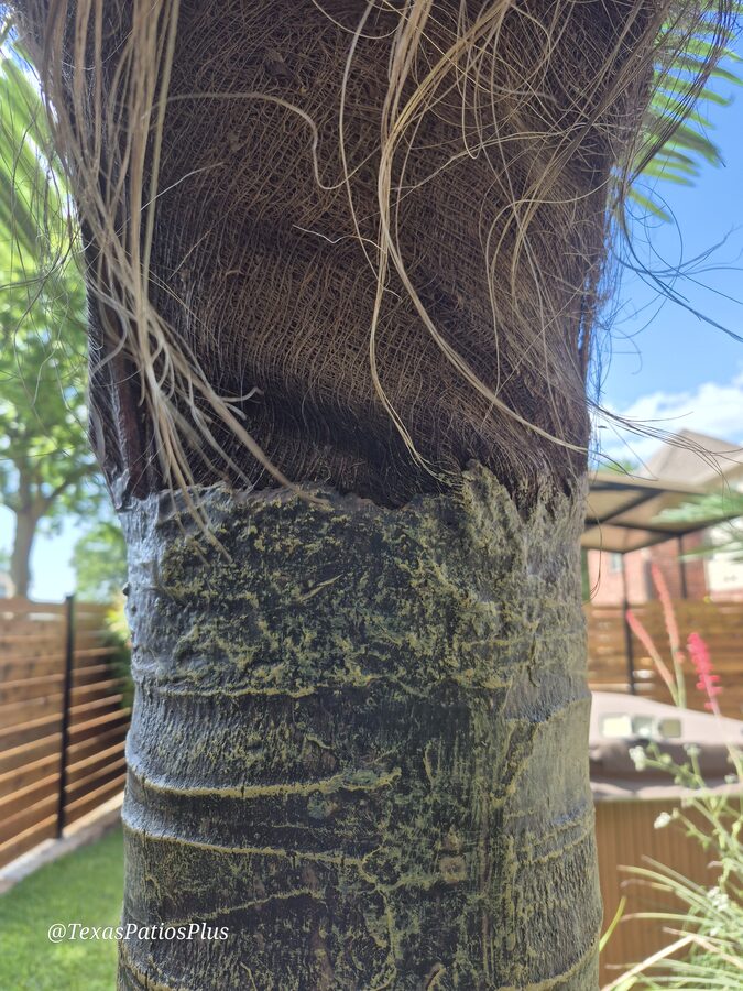 Faux Palms by Texas Patios Plus