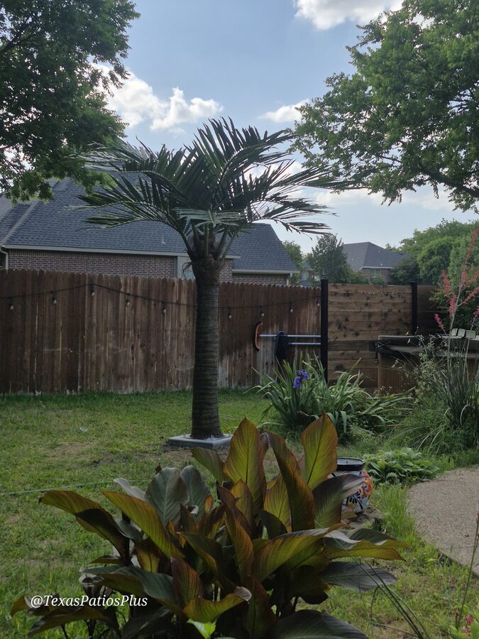 Faux Palms by Texas Patios Plus