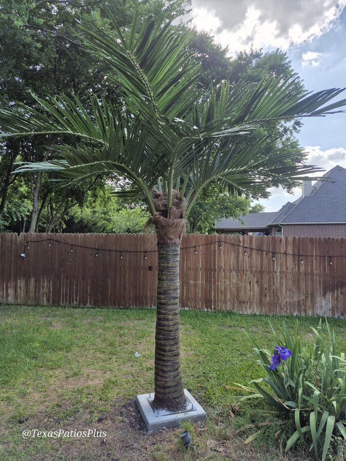Faux Palms by Texas Patios Plus