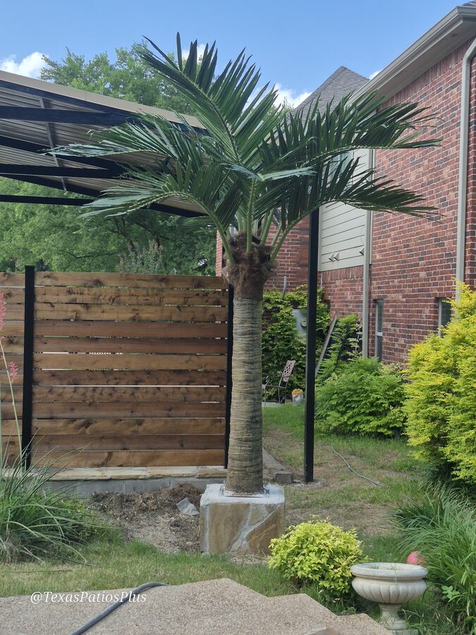 Faux Palms by Texas Patios Plus