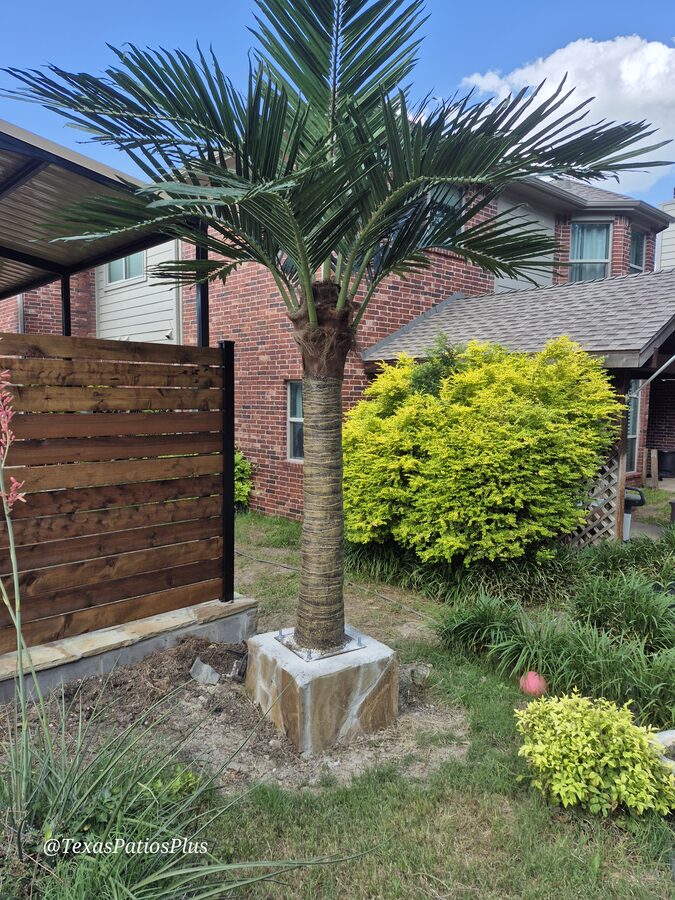 Faux Palms by Texas Patios Plus