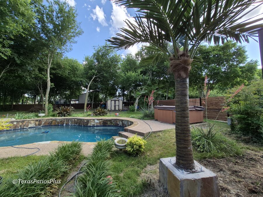 Faux Palms by Texas Patios Plus