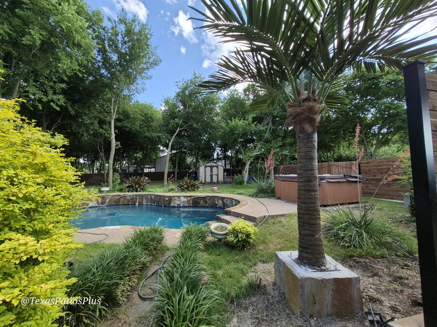 Faux Palms by Texas Patios Plus