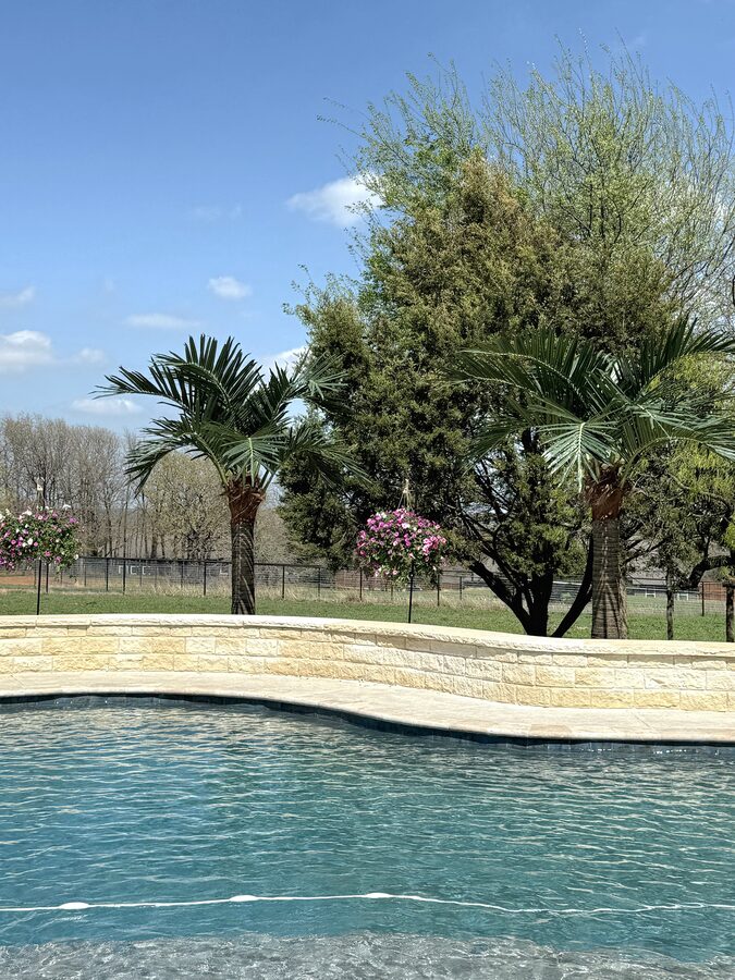 Faux Palms by Texas Patios Plus