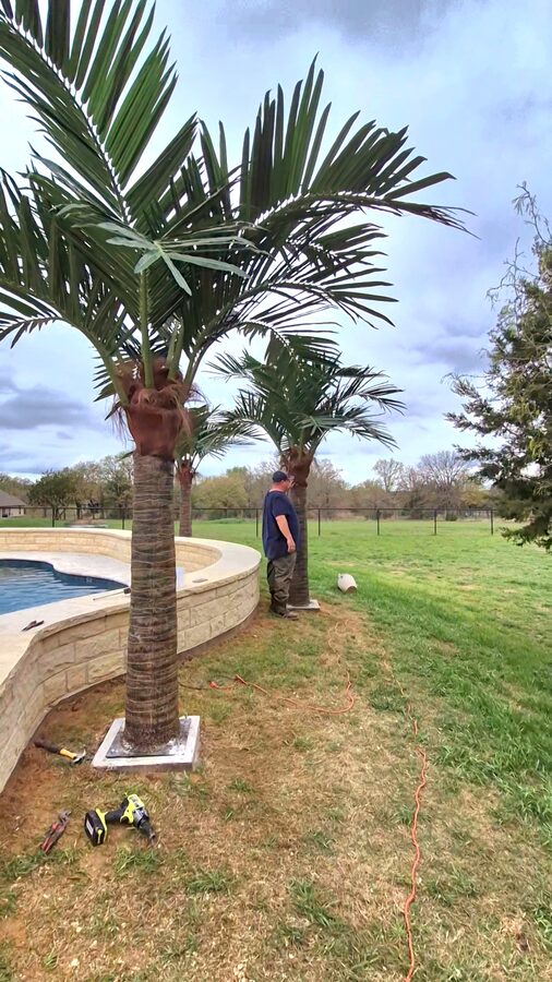 Faux Palms by Texas Patios Plus