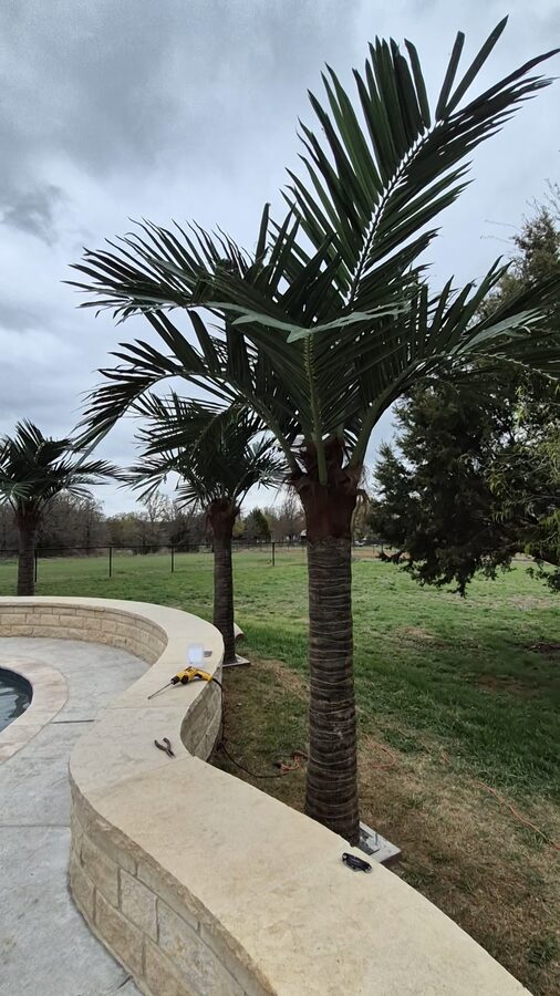 Faux Palms by Texas Patios Plus