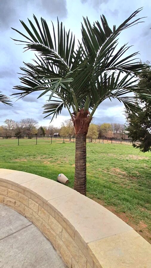 Faux Palms by Texas Patios Plus