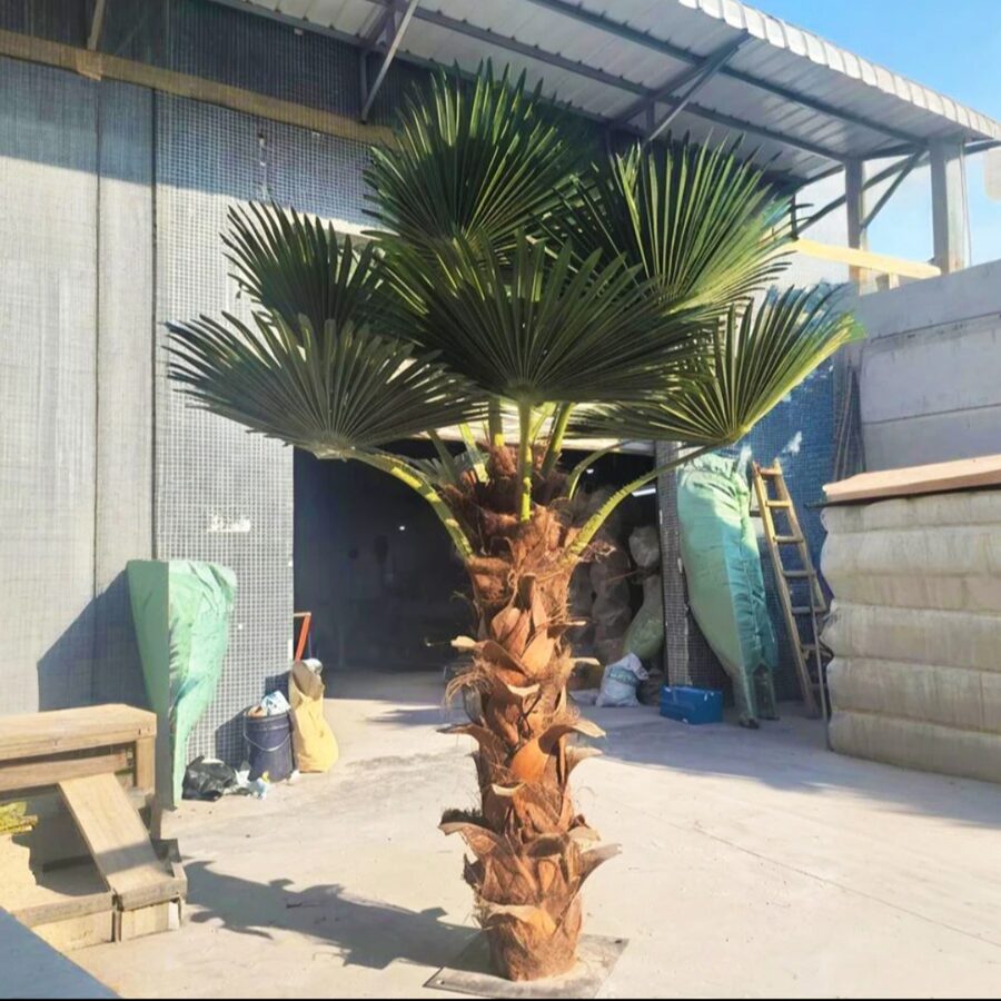 Faux Palms by Texas Patios Plus
