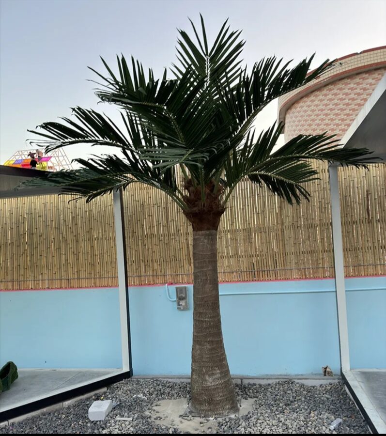 Faux Palms by Texas Patios Plus