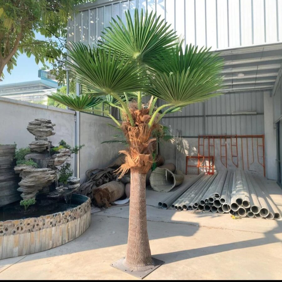Faux Palms by Texas Patios Plus
