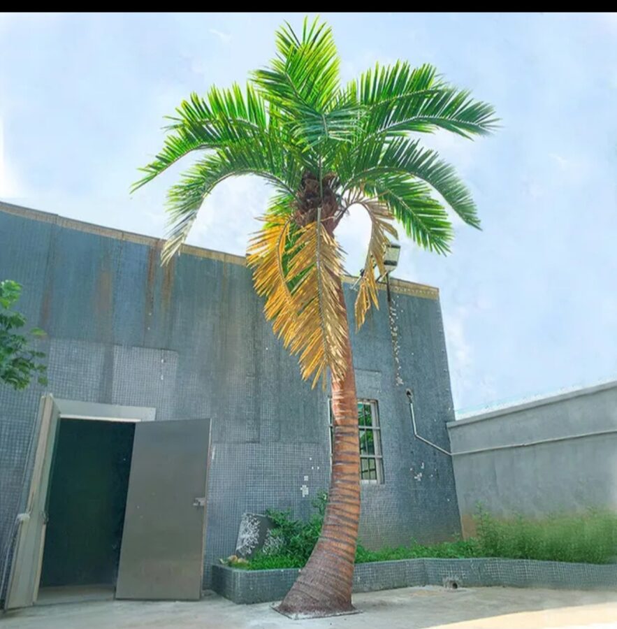 Faux Palms by Texas Patios Plus