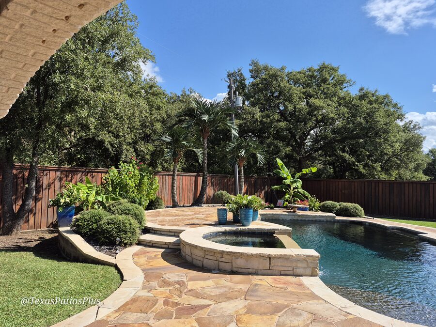 Faux palm trees installed by Texas Patios Plus in south DFW