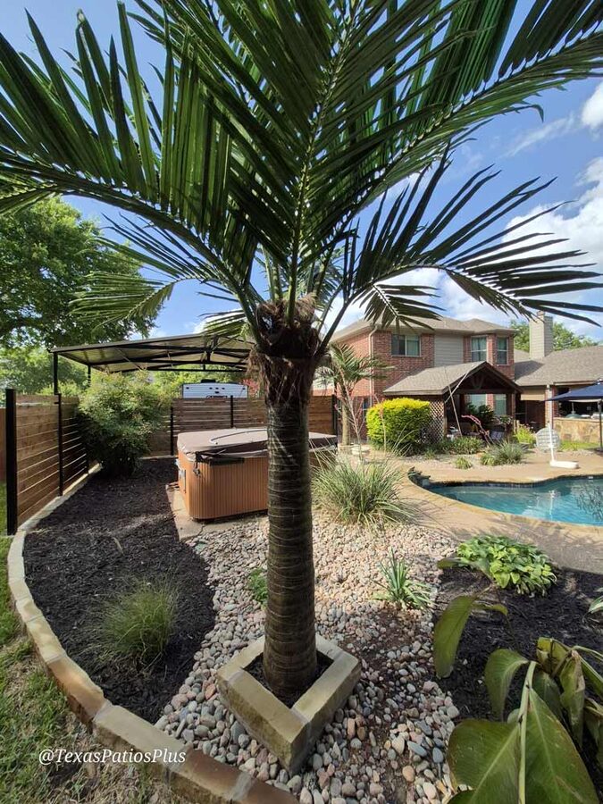 Faux palm trees installed by Texas Patios Plus in south DFW