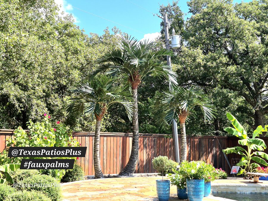 Custom pool built by Texas Patios Plus in south DFW